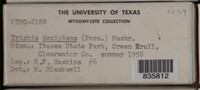 Image Associated With the Occurence